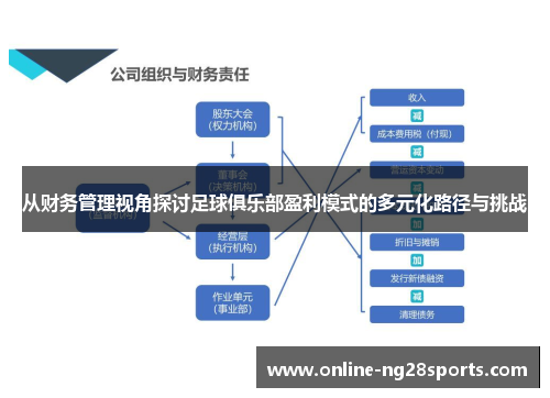 从财务管理视角探讨足球俱乐部盈利模式的多元化路径与挑战